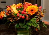 Jim Halling Photography-2459