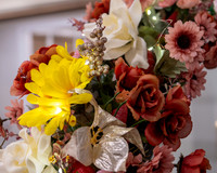 Jim Halling Photography-2886