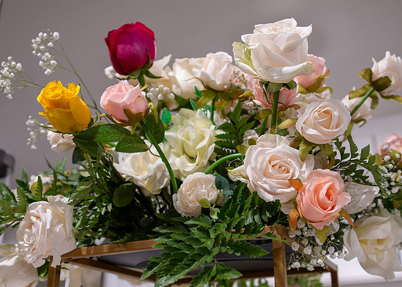 Jim Halling Photography-2888