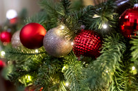 Jim Halling Photography-0320