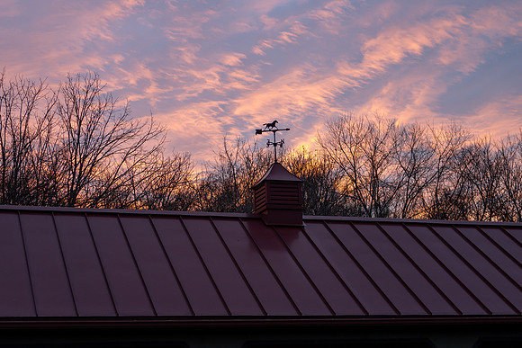Jim Halling Photography-5332