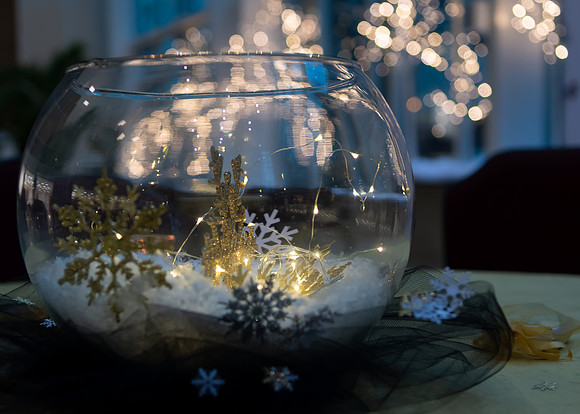 Jim Halling Photography-3452