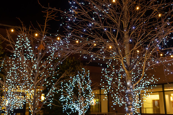 Jim Halling Photography-5812