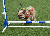 Jim Halling Photography-7443