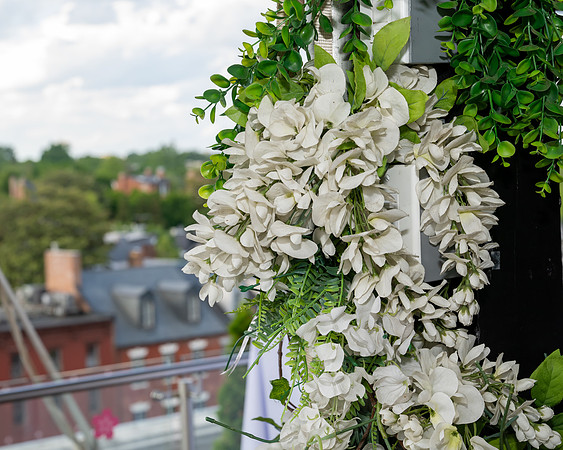 Jim Halling Photography-7823