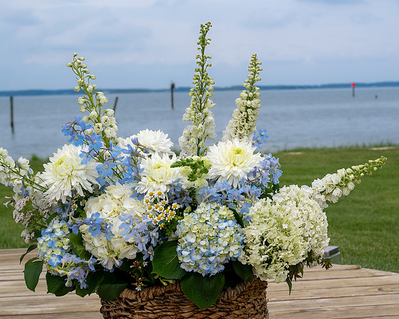 Jim Halling Photography-9620