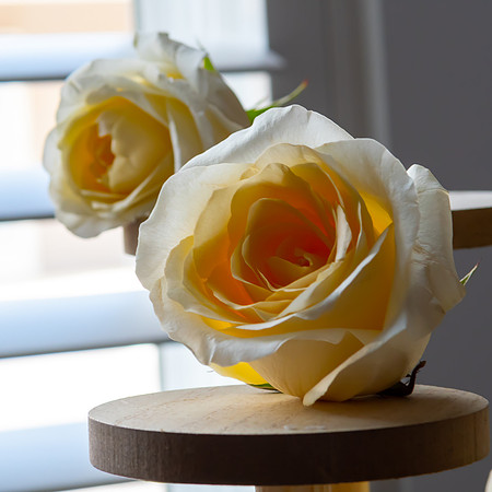 Jim Halling Photography-3142