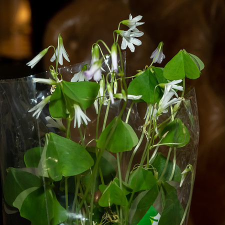 Jim Halling Photography-3370