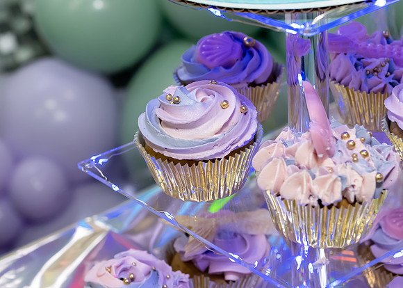 Jim Halling Photography-6598