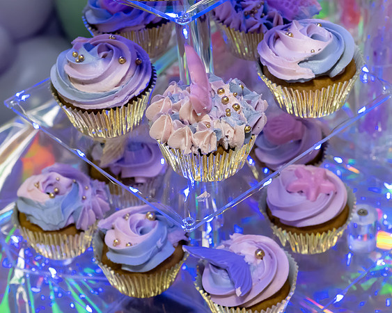 Jim Halling Photography-6599