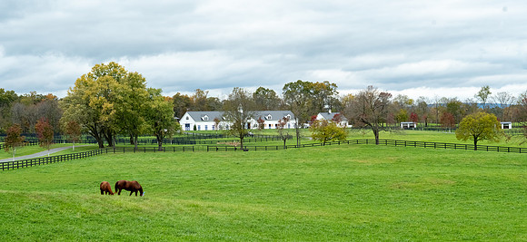 Jim Halling Photography-9201
