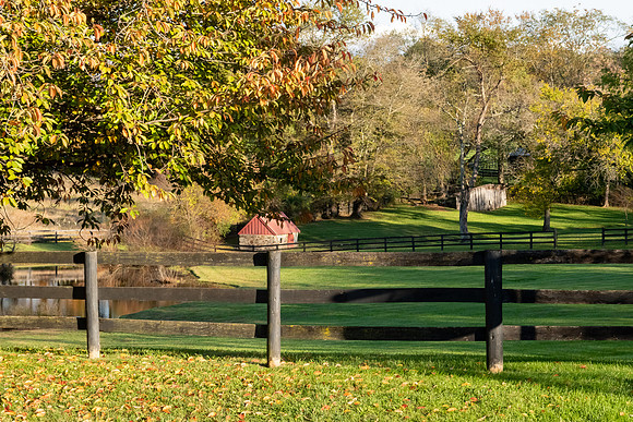 Jim Halling Photography-9310