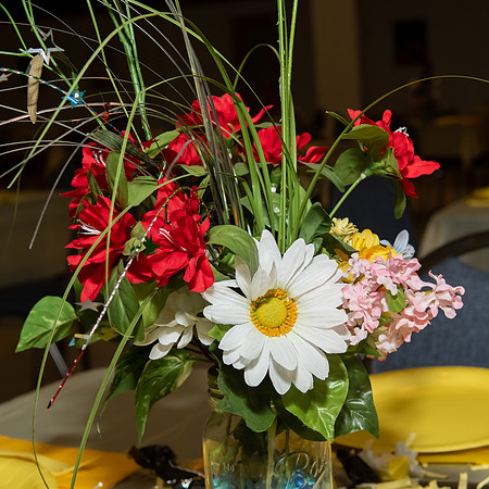 Jim Halling Photography-9732