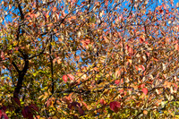 Jim Halling Photography-9682