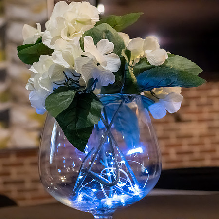 Jim Halling Photography-7435