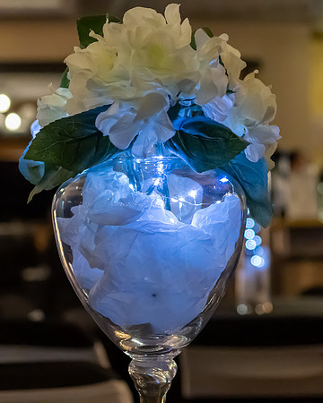 Jim Halling Photography-7451