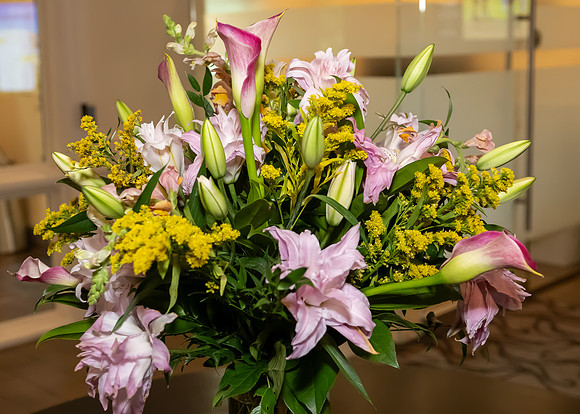 Jim Halling Photography-3965
