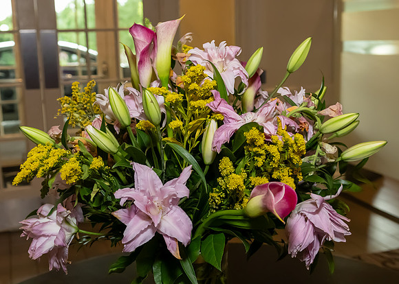 Jim Halling Photography-3964