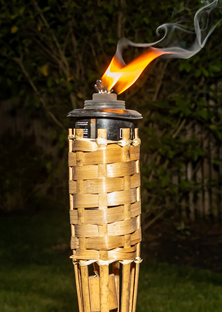 Jim Halling Photography-3394