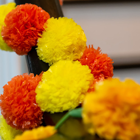 Jim Halling Photography-3502