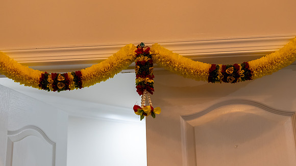 Jim Halling Photography-3503