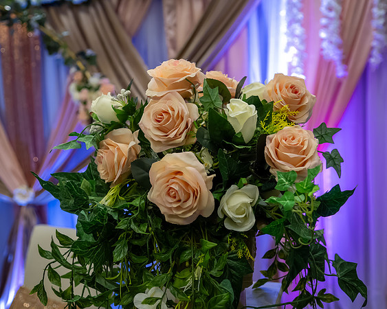 Jim Halling Photography-1310