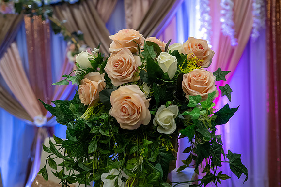 Jim Halling Photography-1311