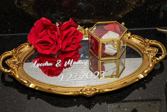 Jim Halling Photography-1321