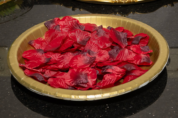 Jim Halling Photography-1319