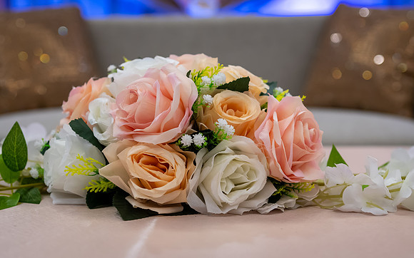 Jim Halling Photography-1327