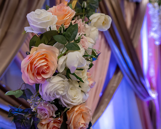 Jim Halling Photography-1332