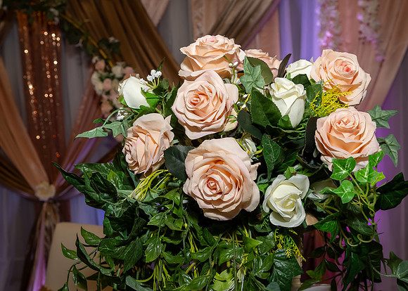 Jim Halling Photography-1308