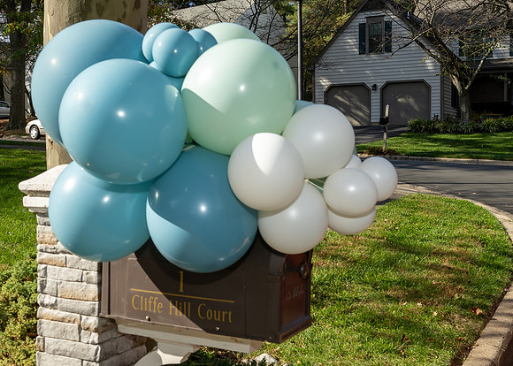 Jim Halling Photography-7771