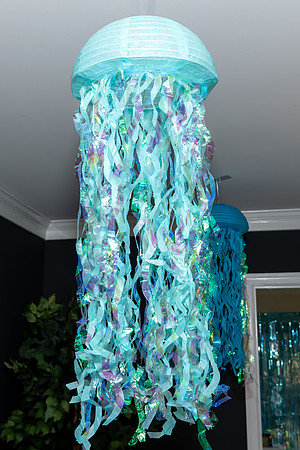 Jim Halling Photography-7780