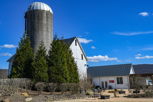 Jim Halling Photography-4803