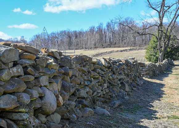 Jim Halling Photography-4804