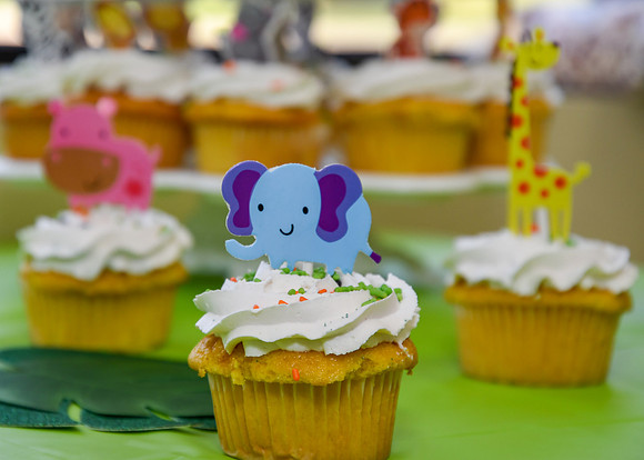Jim Halling Photography - Isasiah 1st BD 2019-8158