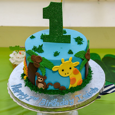 Jim Halling Photography - Isasiah 1st BD 2019-8162