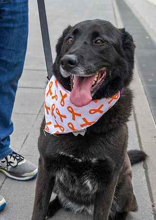 Jim Halling Photography BCAN 2019 DC Walk-9271