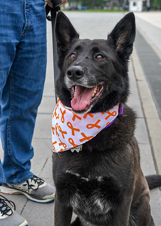Jim Halling Photography BCAN 2019 DC Walk-9273