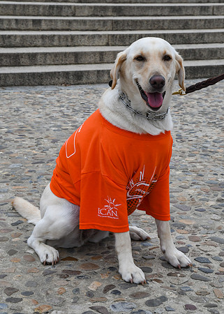 Jim Halling Photography BCAN 2019 DC Walk-9942