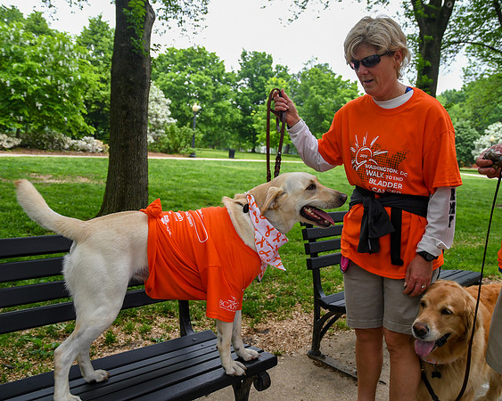 Jim Halling Photography BCAN 2019 DC Walk-0324
