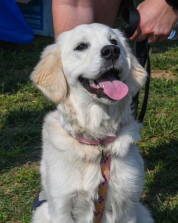 Jim Halling Photography - JDRF One Walk DC 2019-3655