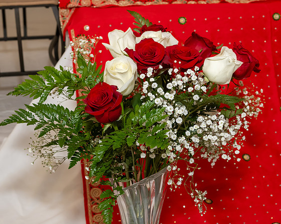 Jim Halling Photography-7902