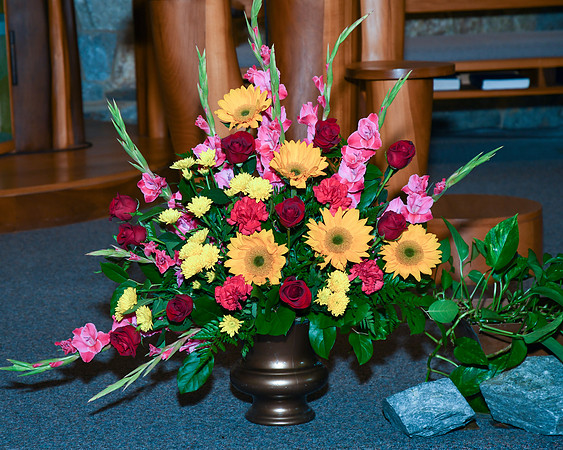 Jim Halling Photography -7460