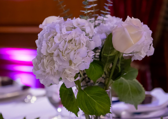 Jim Halling Photography-6588