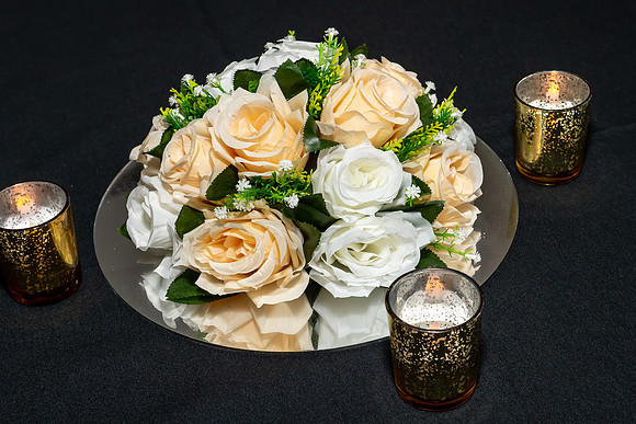 Jim Halling Photography-5809