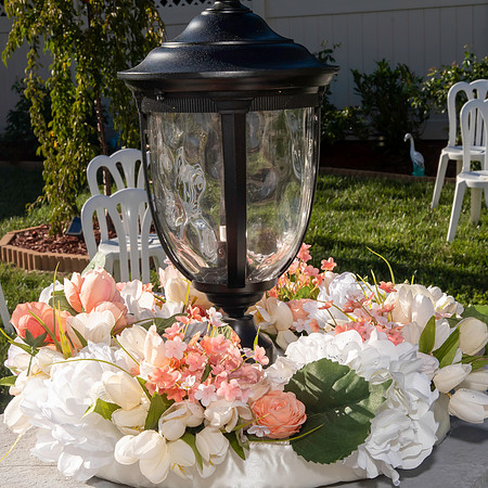 Jim Halling Photography-5239