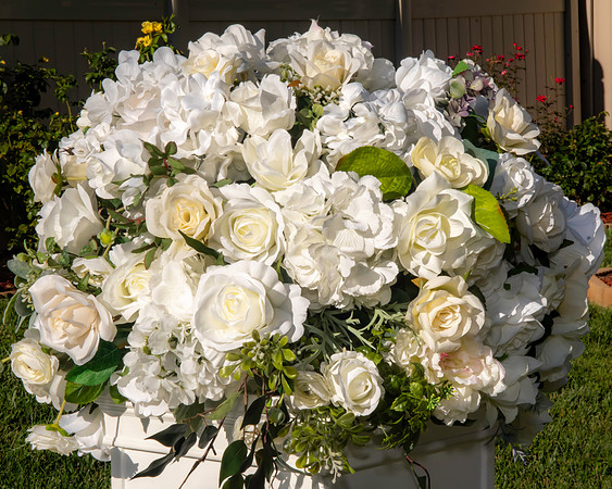 Jim Halling Photography-5241