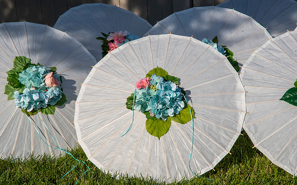 Jim Halling Photography-5245